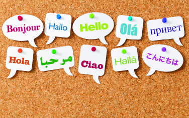 Cork board with greetings in multiple languages including French, English and Spanish (bonjour, hola, ola)